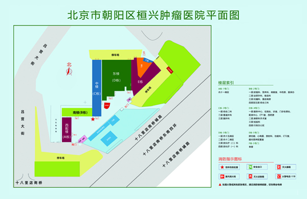 狠狠操骚逼123北京市朝阳区桓兴肿瘤医院平面图